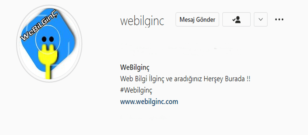 webilgin.